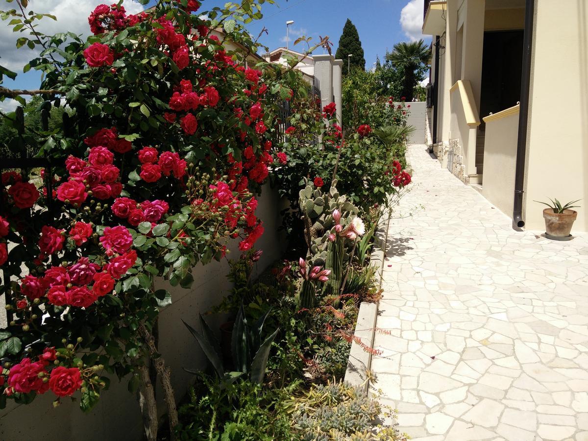 B&B Green Da Maria Matera Ngoại thất bức ảnh