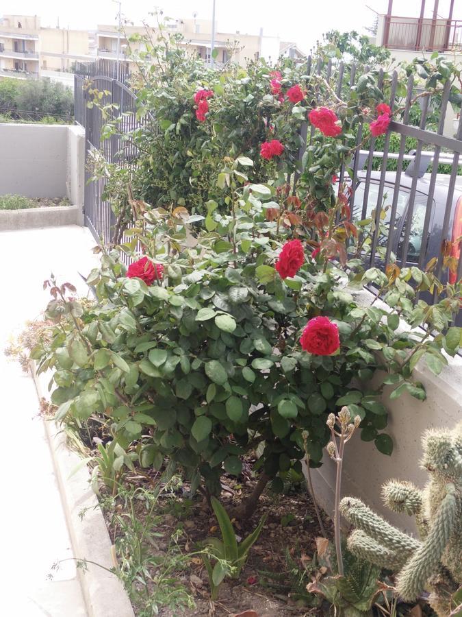 B&B Green Da Maria Matera Ngoại thất bức ảnh