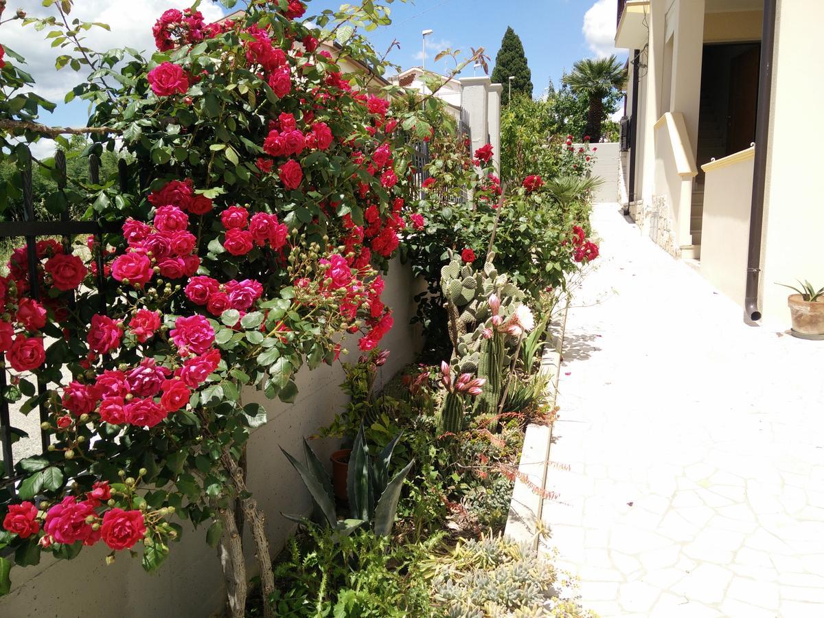 B&B Green Da Maria Matera Ngoại thất bức ảnh